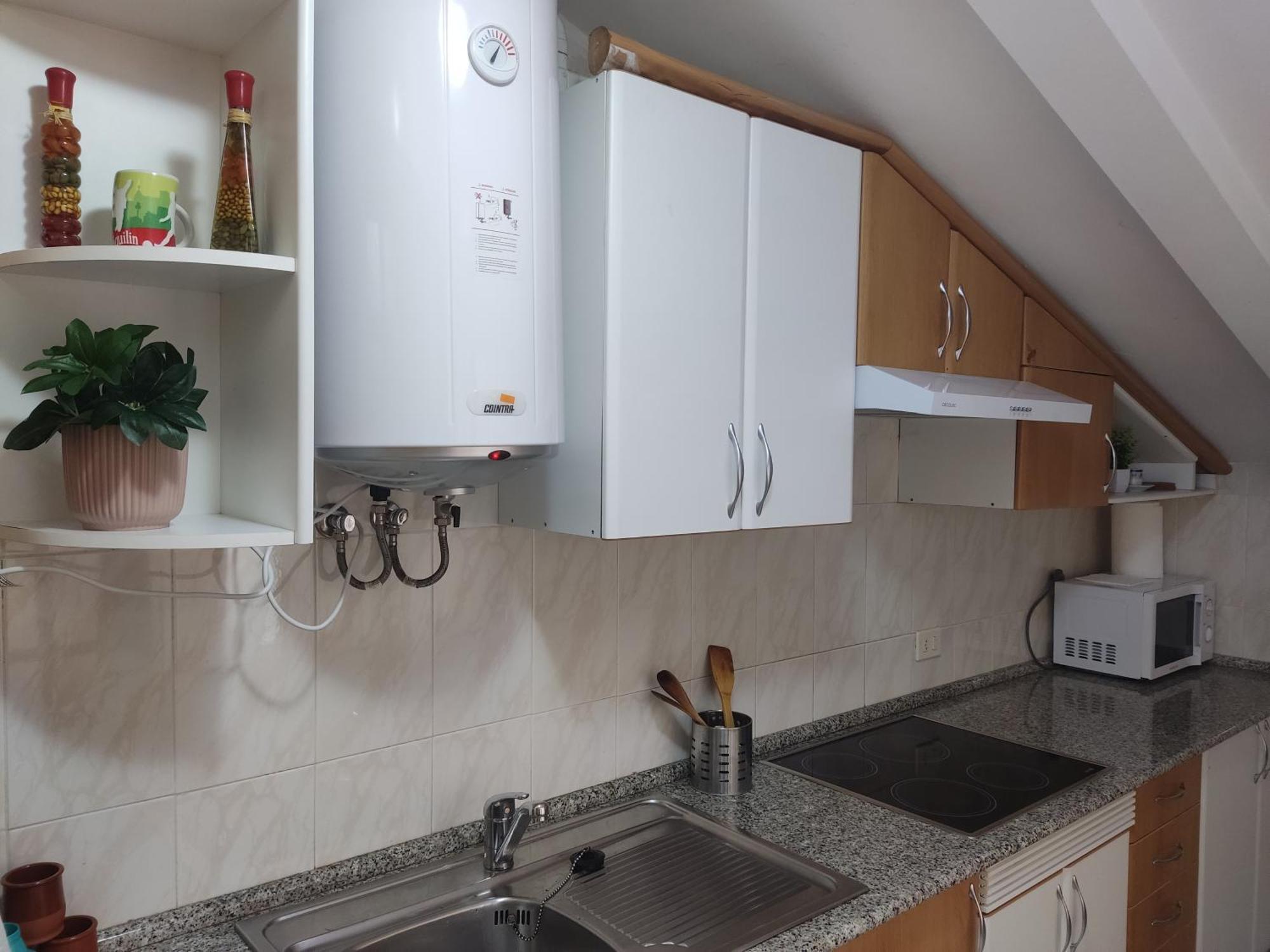 Buen Camino Arzua Apartment Exterior foto